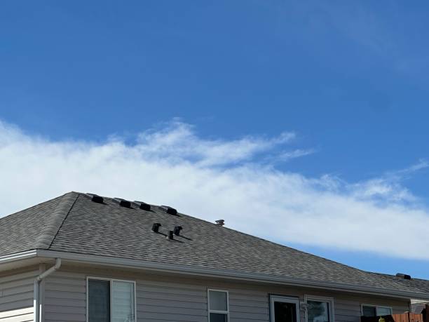 Best Roof Maintenance  in Torrance, CA